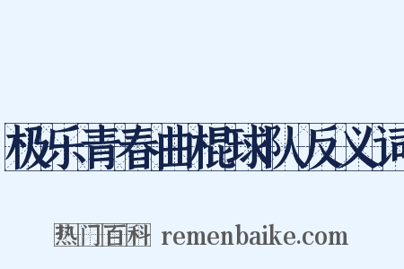 极乐青春曲棍球队反义词是什么意思的图片
